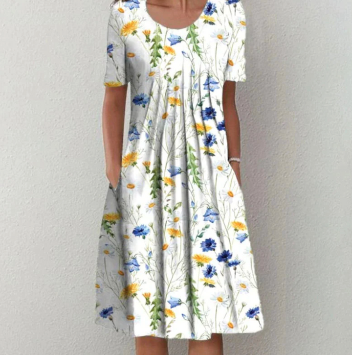 Aria | Women's Floral Print Pleated A-Line Summer Dress