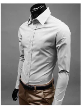 Daniel | Men's Slim Fit Tailored Button Dress Shirt